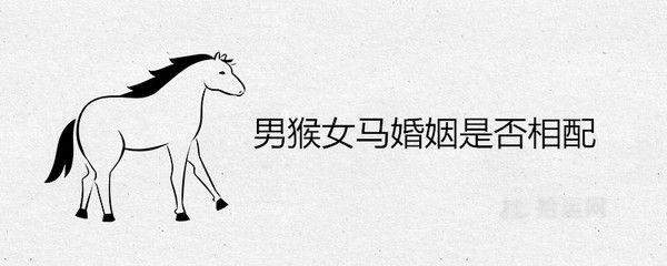 属马女和属猴男婚姻相配吗