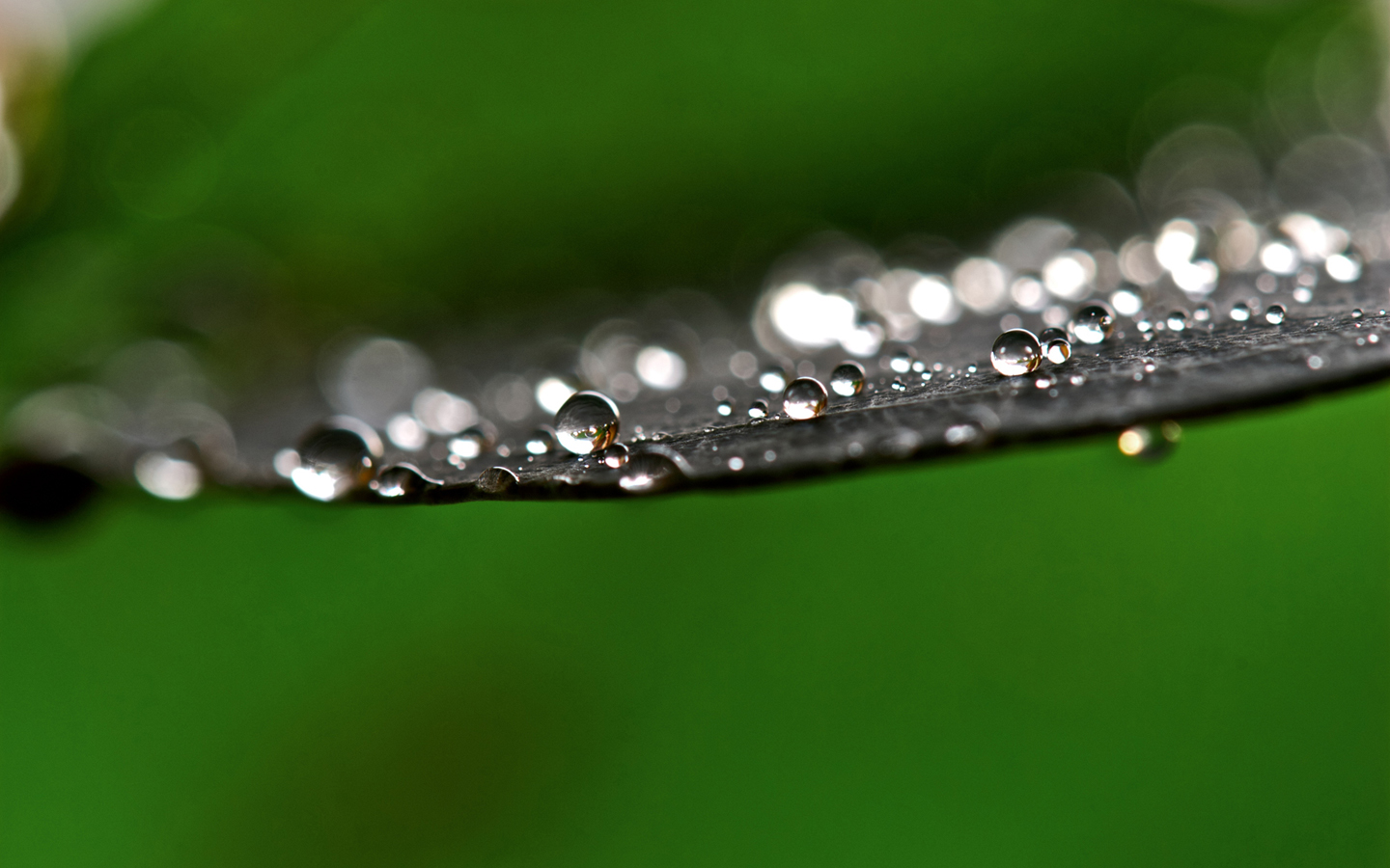 雨?`红蕖怎么读