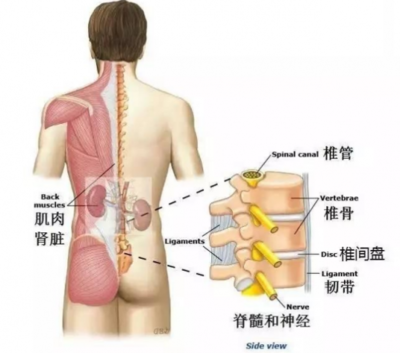 右腰里面疼是怎么回事