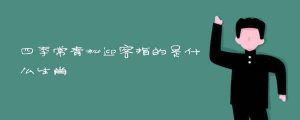 松是什么生肖
