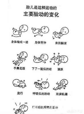 胎儿是如何呼吸的