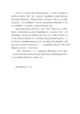 有关动物的精神的作文400字作文怎么写