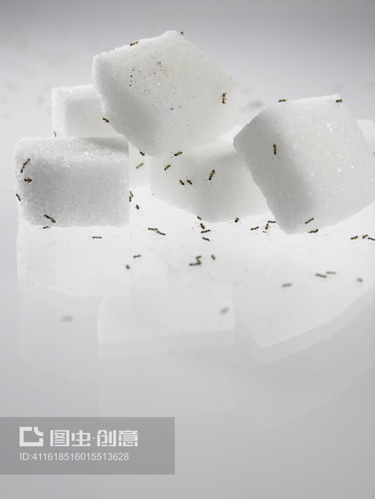 白糖里面有蚂蚁有什么办法解决