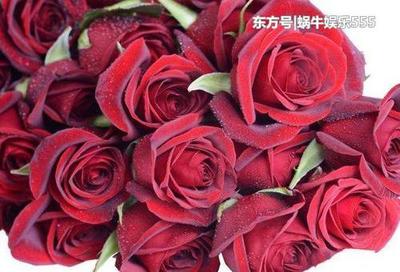 壬打一生肖