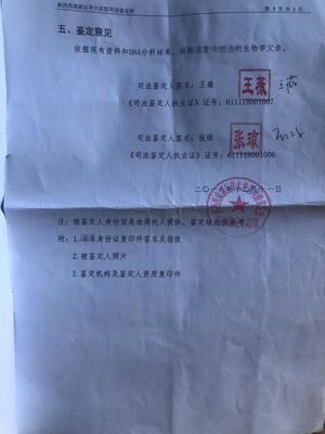 亲子鉴定结果样本