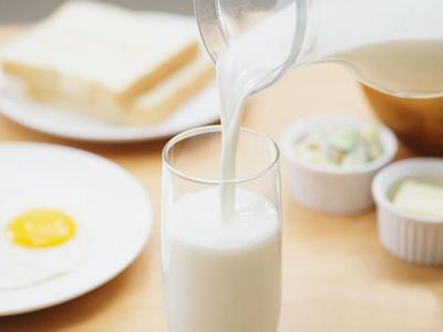 宝宝补钙的食物有哪些