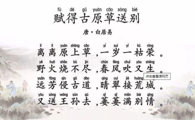 一岁一枯荣拼音