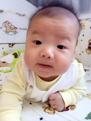 三个月宝宝抬头标准图