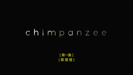 矮子
