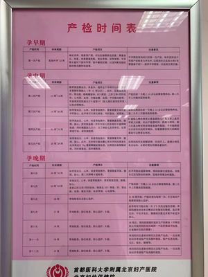 北京孕妇建档流程