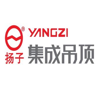扬子吊顶