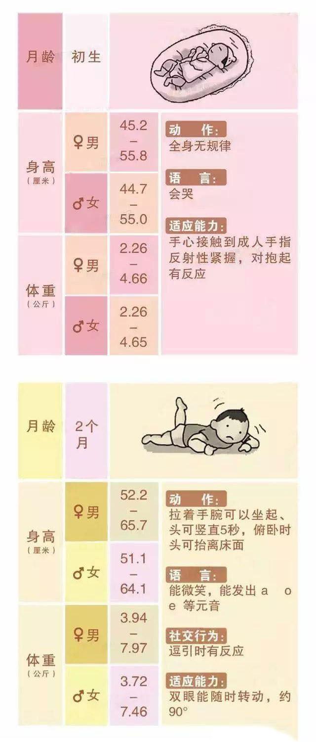 12个月宝宝发育指标