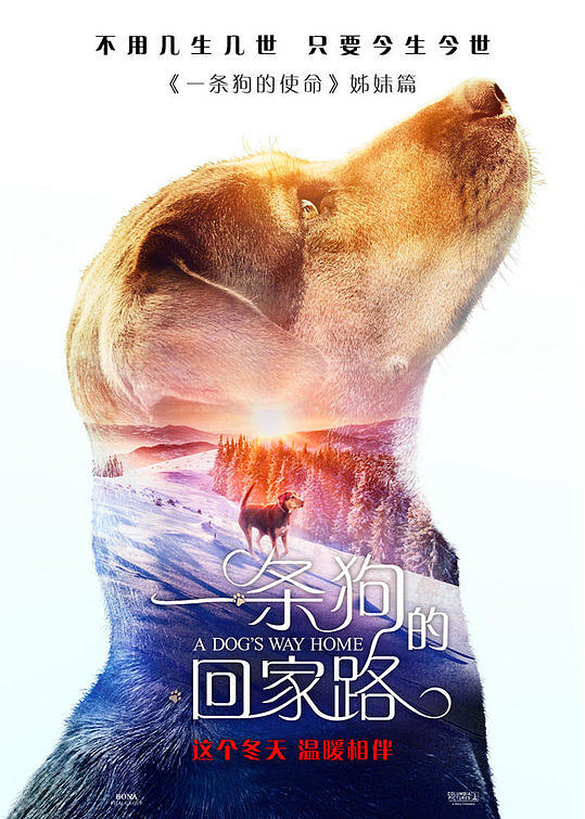 资讯配图