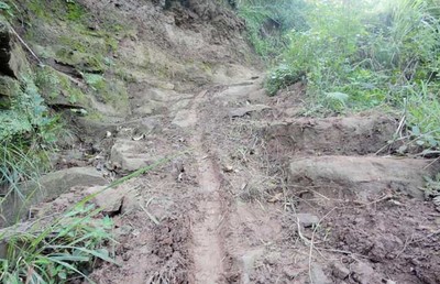 路旁土是什么生肖