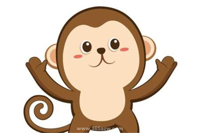 属猴的适合什么职业