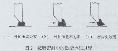 什么是极靴