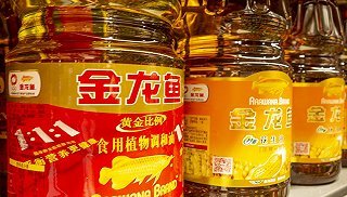 魚缸加了硝化細(xì)菌水變渾濁（魚缸加了硝化細(xì)菌水變渾濁多久能恢復(fù)）