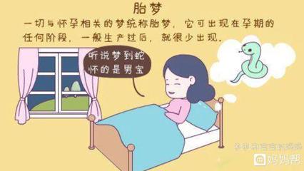 怀孕老是做梦