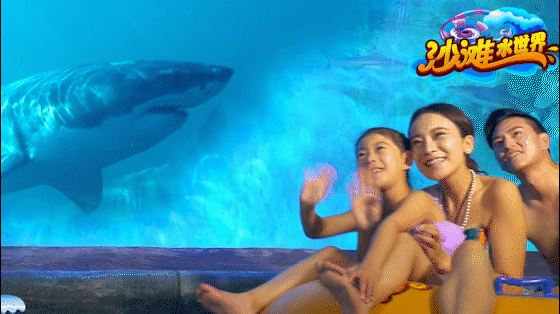 沈陽皇家海洋樂園