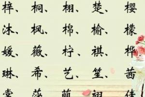 带木字旁的女孩名字大全