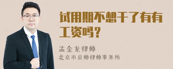 试用期不想干了