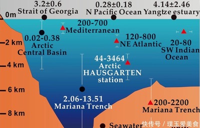 万米深海温度多少,深海底部的