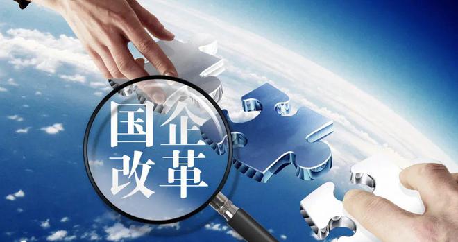 国有企业的股东