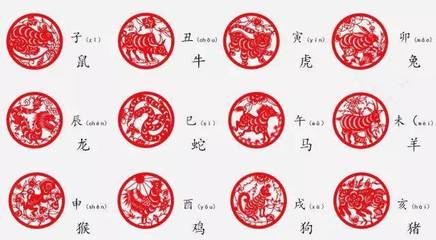 一九零七年属什么生肖