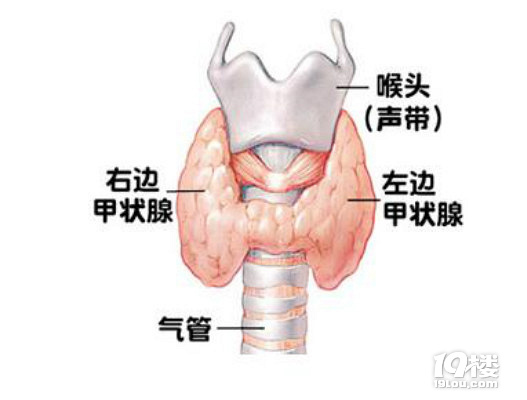 甲状腺炎可以怀孕吗