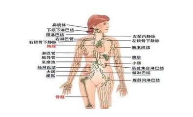 左边大肠疼是怎么回事