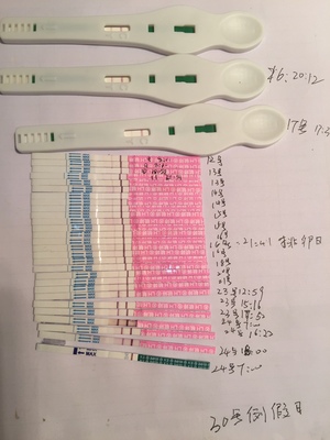 13号来月经什么时候是排卵期