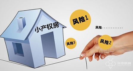 小产权房子