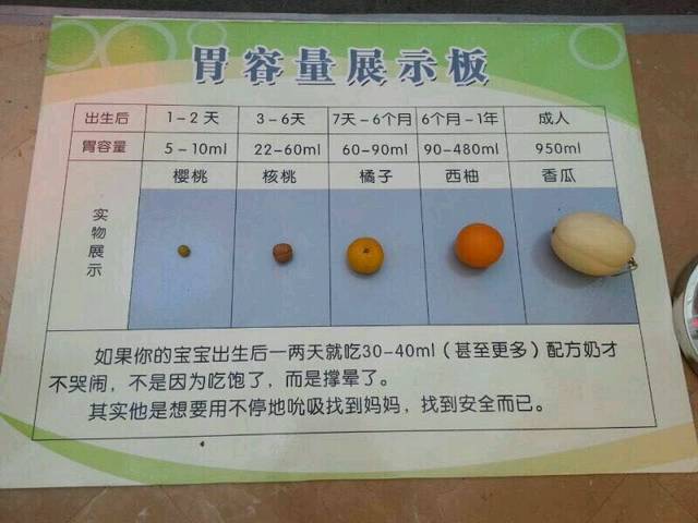 六个月的宝宝胃有多大