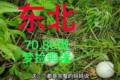 做梦捡鸭蛋是什么意思