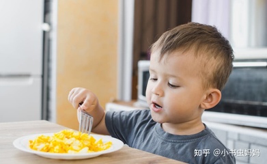一岁半宝宝食谱大全一日三餐
