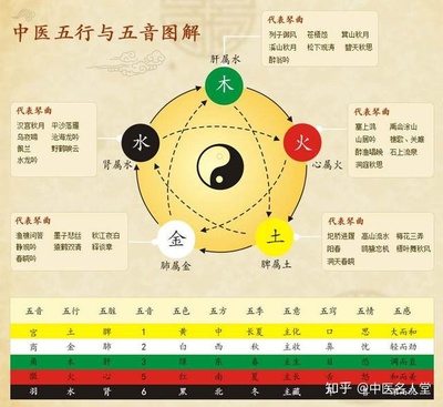 饮食行业五行属什么