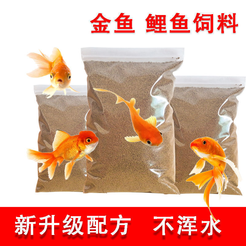 觀賞魚(yú)專用餌料品牌推薦：觀賞魚(yú)餌料營(yíng)養(yǎng)魚(yú)專用餌料選擇