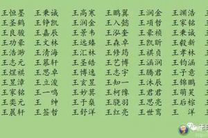 王氏名字大全男孩