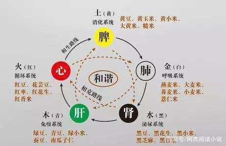 周字五行