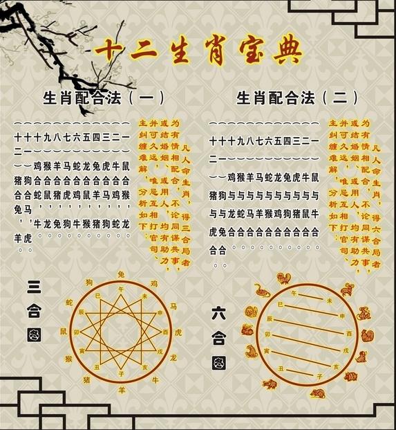 属相配对