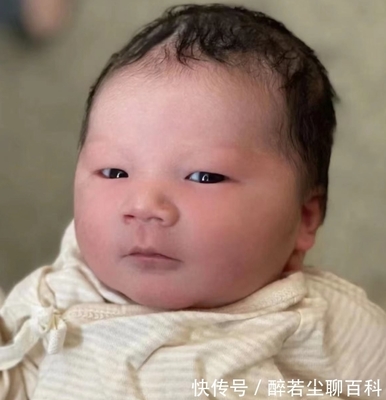 语晨取名的含义是什么