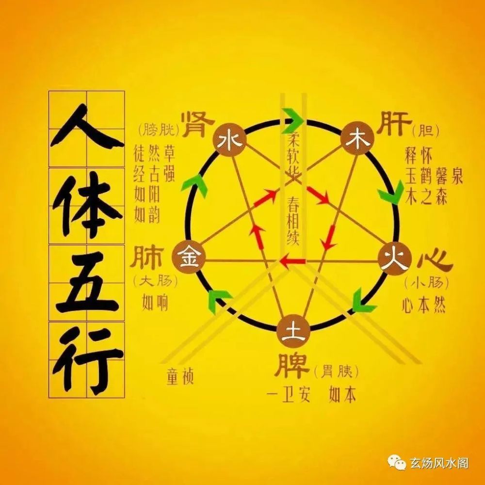然五行