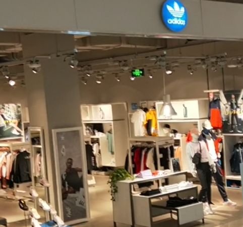 附近三叶草专卖店地址