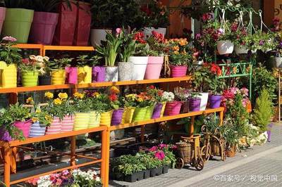 花店装修设计方案