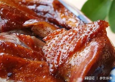 脯鸭做法大全家常