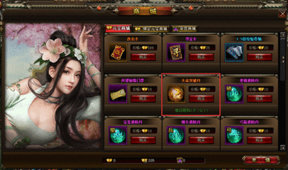 我是皇页游中后宫系统是什么意思