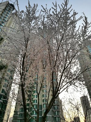 河北三河燕郊天气预报