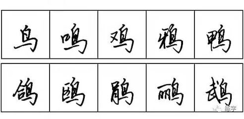 鸟字旁的字