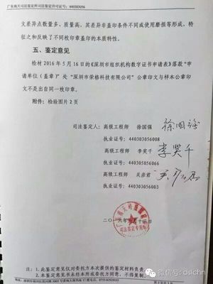 司法会计鉴定报告