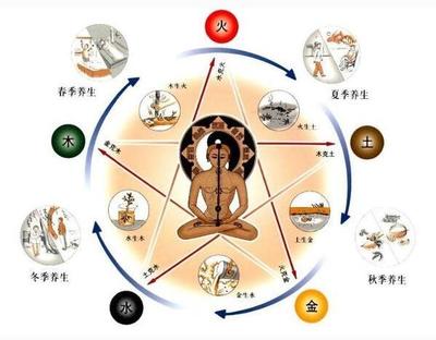 标字五行属什么